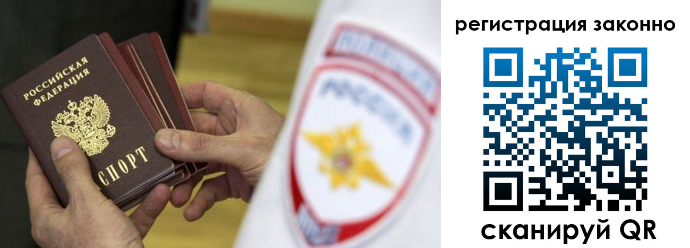 прописка гарантия в Ярославле